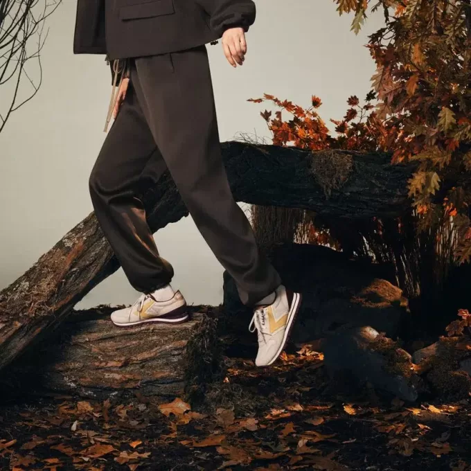 Brooks Chariot