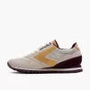 Brooks Chariot