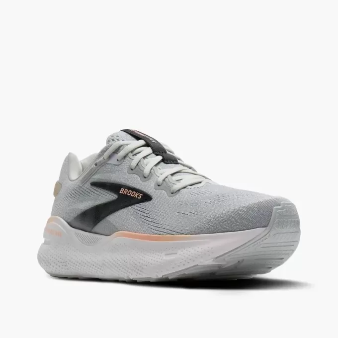 Brooks Defyance Max