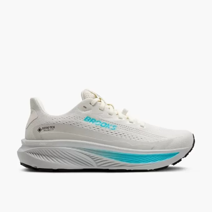 Brooks Ghost 17 GTX