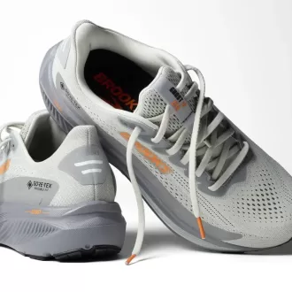 Brooks Beast GTS 24